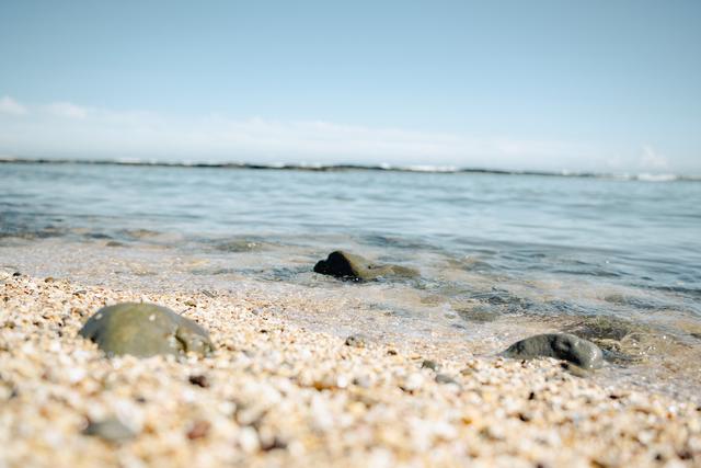 
                  
                    
                     NIKON CORPORATION 
                     NIKON Z 50 
                  
                  