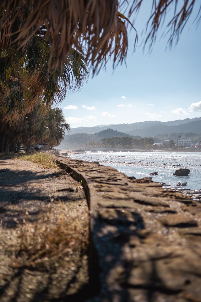 
                  
                    
                     NIKON CORPORATION 
                     NIKON Z 50 
                  
                  