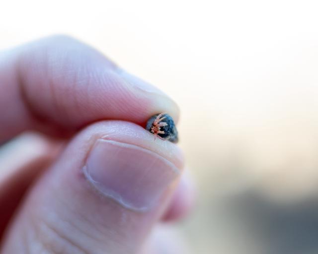 
                  
                    
                     NIKON CORPORATION 
                     NIKON Z 50 
                  
                  