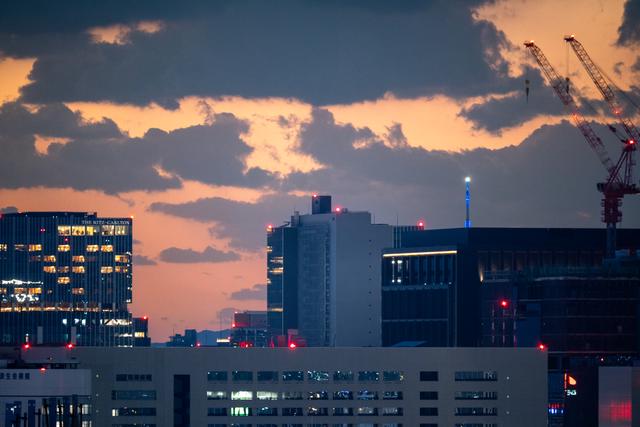 
                  
                    
                     NIKON CORPORATION 
                     NIKON Z 50 
                  
                  