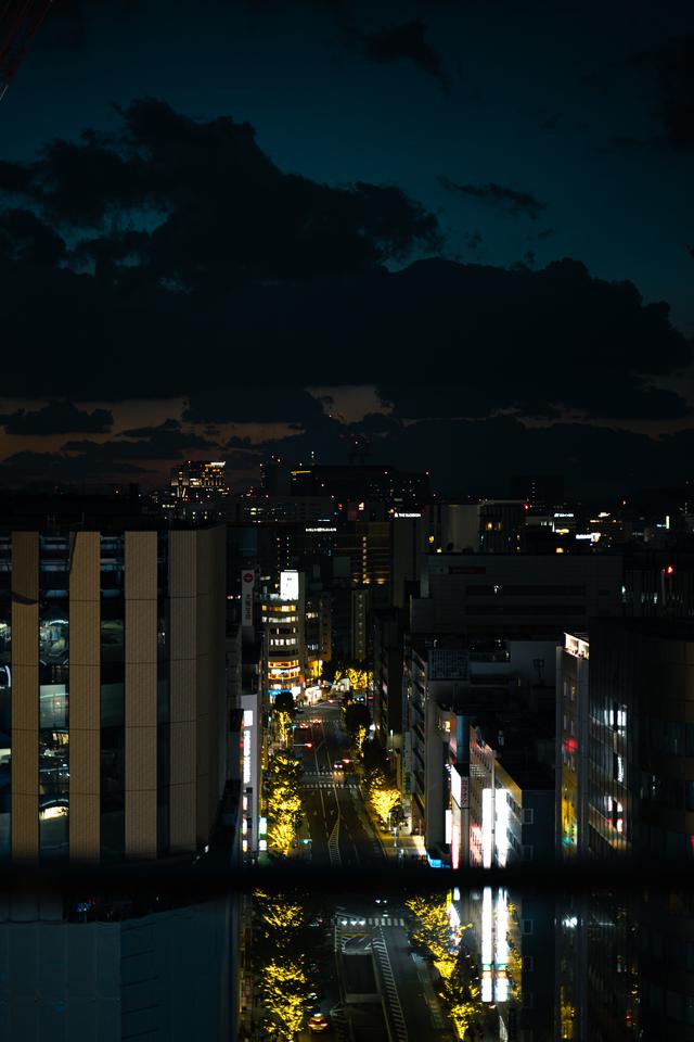 
                  
                    
                     NIKON CORPORATION 
                     NIKON Z 50 
                  
                  